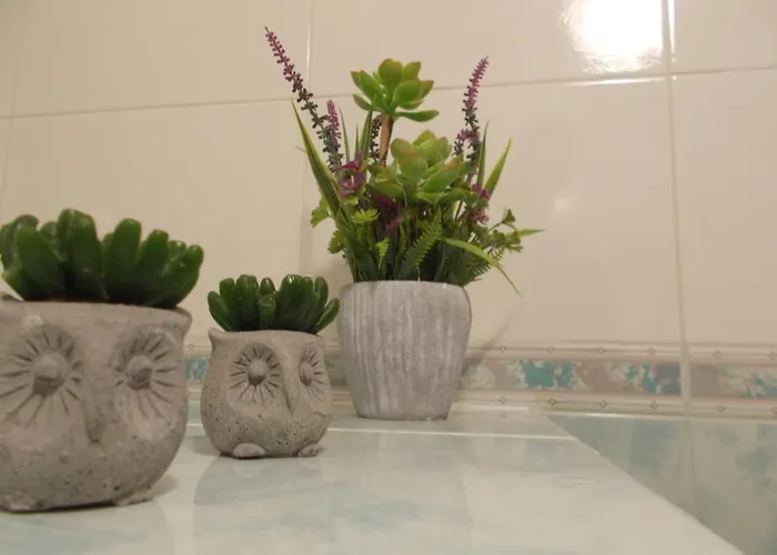 Amore Siciliano * Trapani