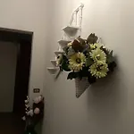 Amore Siciliano * Trapani