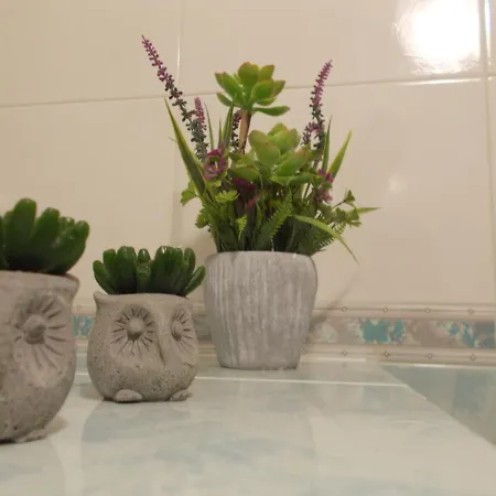 Amore Siciliano * Trapani